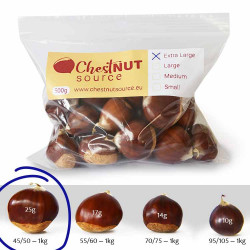 Fresh Chestnut - Extra Large