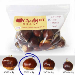 Fresh Chestnut - Large